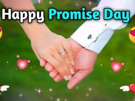 Promise Day Quotes in Hindi